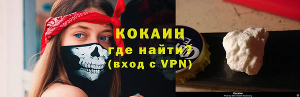 бошки Снежногорск