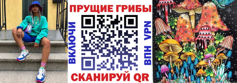 Купить закладки  Тара  Галлюциногенные грибы Cubensis 